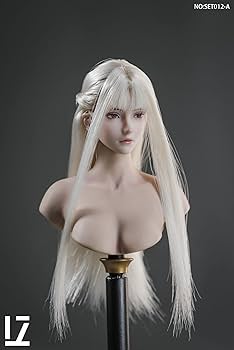 1/6 フィギュア 女性 ヘッド カスタム 素体 ボディ ドレス 非ホットトイズ Amazon | HiPlay True1Toys 1/6 女性 素体 超可動 フィギュア